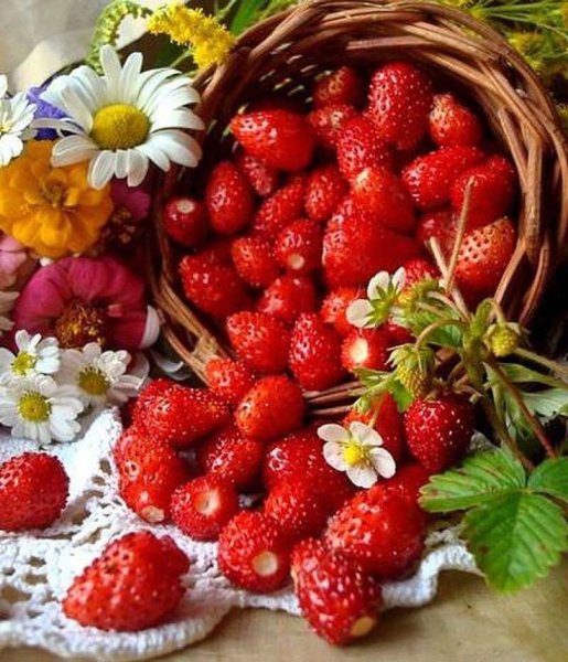 Цветы клубники