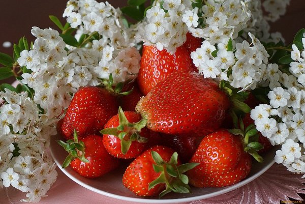 Клубника с цветочком