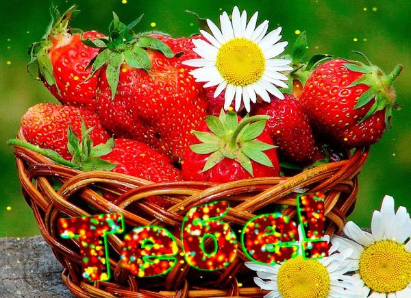 Яркого летнего настроения