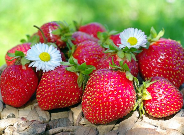 Клубника ягода