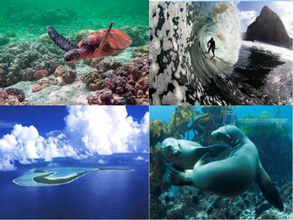 День океана