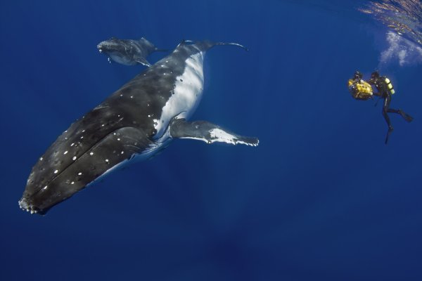 День мирового океана