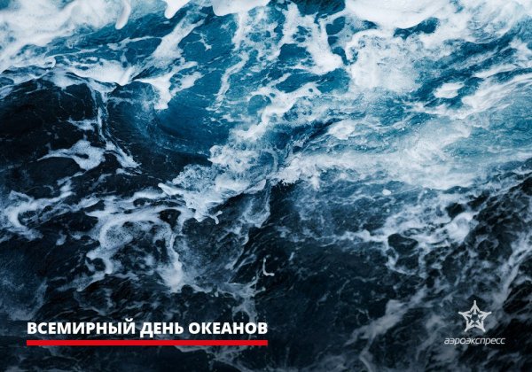 Всемирный день океанов gif