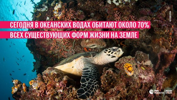 Международный день океана