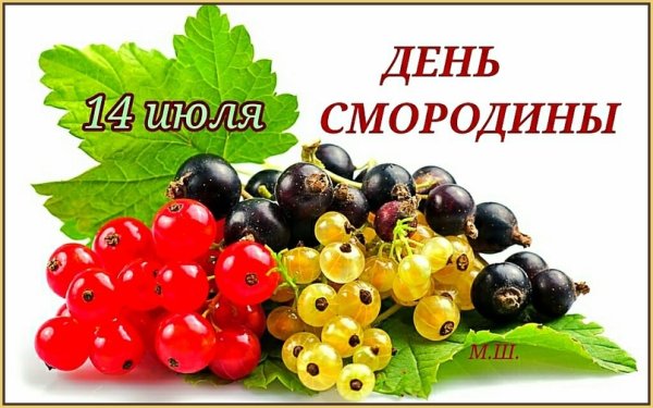 Ягоды на кустах