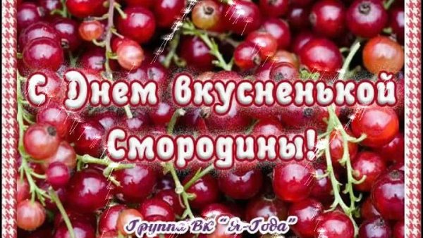 Смородина черная красная белая