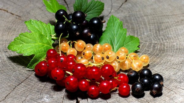 День смородины 14 июля открытки