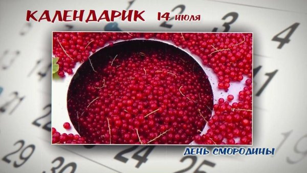 Смородина красная анимация