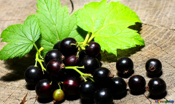 Цветы и ягоды