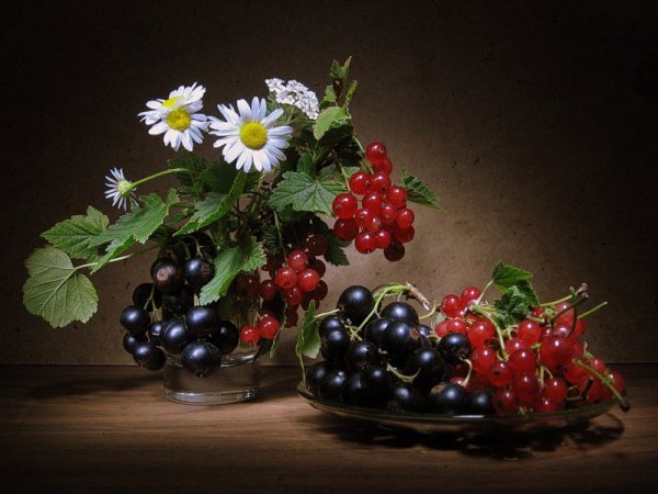 Книги о смородине