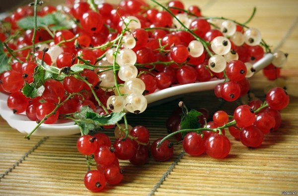 День смородины 14 июля