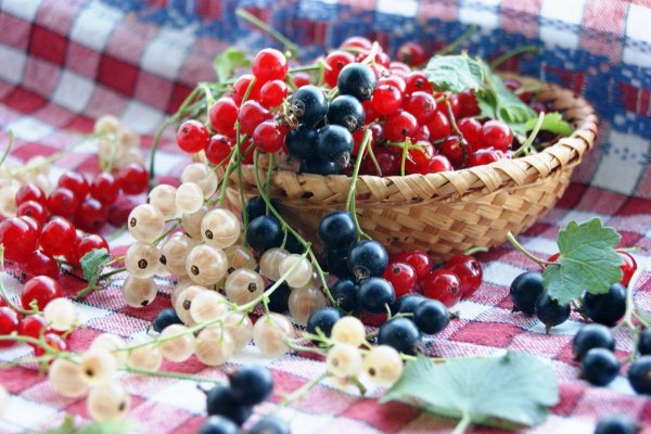 Витамины в красной смородине