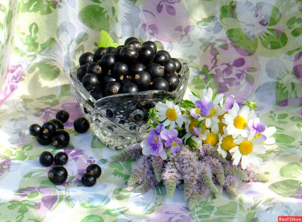 Фотография смородина Андрея Петровича