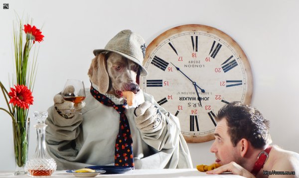 День наоборот фон