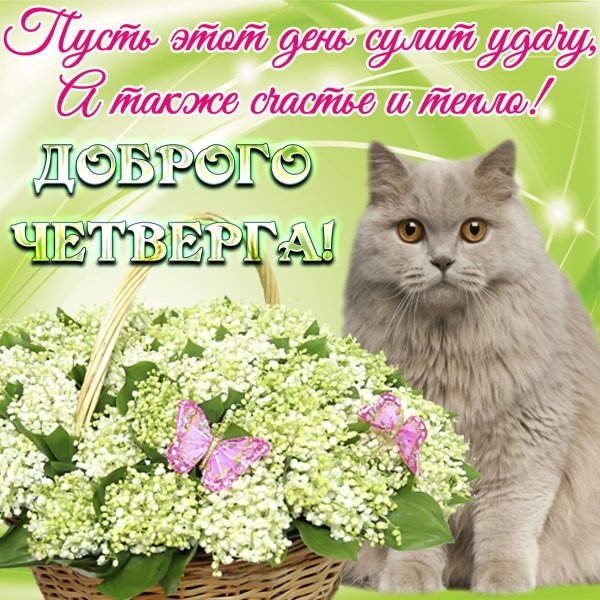 Открытки хорошего четверга