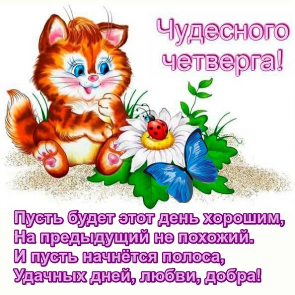 Пожелания на весь день