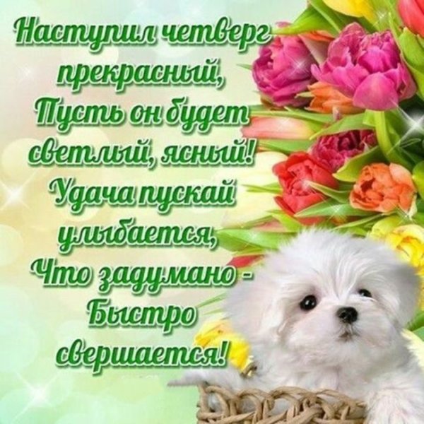 Открытки доброго четверга