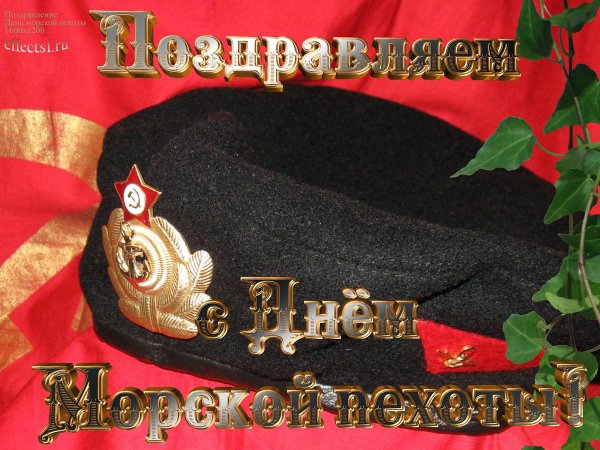 Поздравления с днём морской пехоты