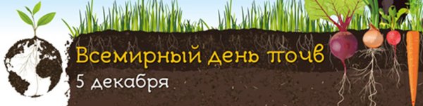 Информатор логотип