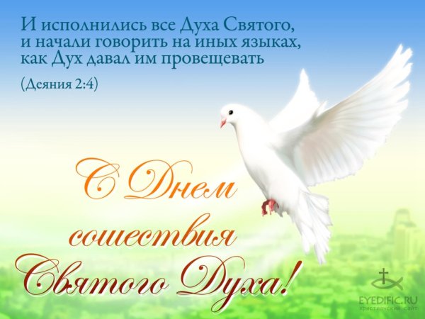 С днем Святого духа поздравления