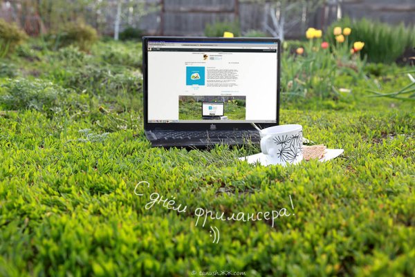 14 Мая день фрилансера