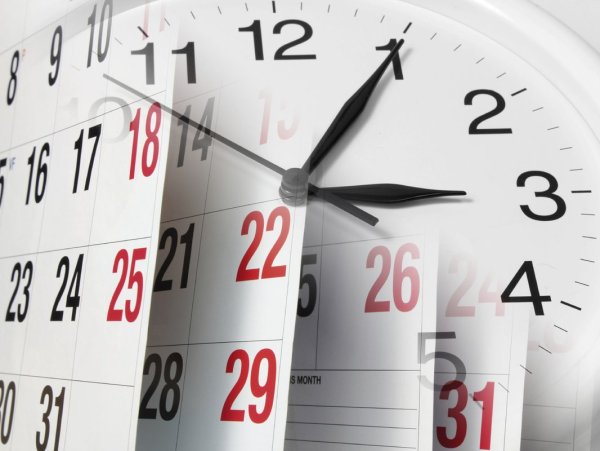 Сроки картинка