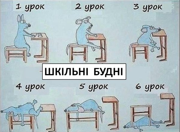 Приколы про студентов