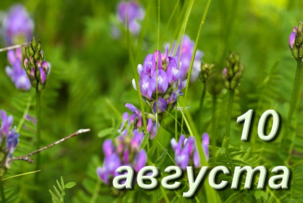 Праздник Прохор Весновей