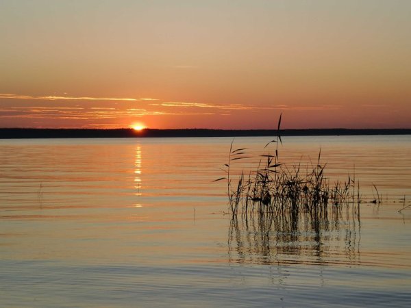 Прохор Весновей, Харлампий