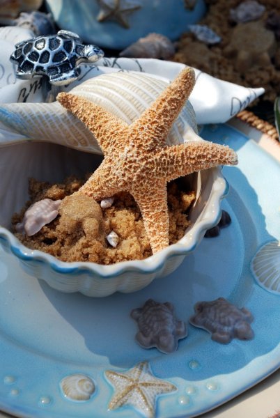 Морская тематика ракушки