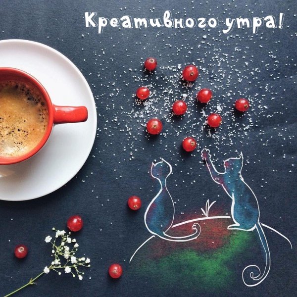 Художница-иллюстратор из Италии Синция Болонези