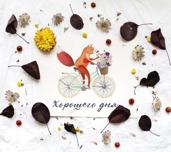 Открытки хорошего дня дизайнерские