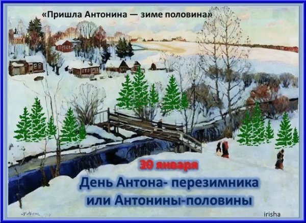 30 Января - Антон-перезимник, Антонина-половина