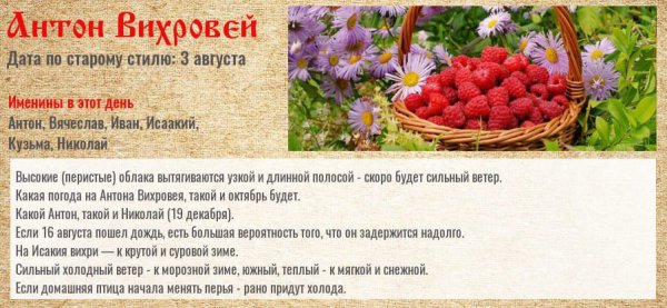 Народный календарь 16 августа Антон Вихровей малинник