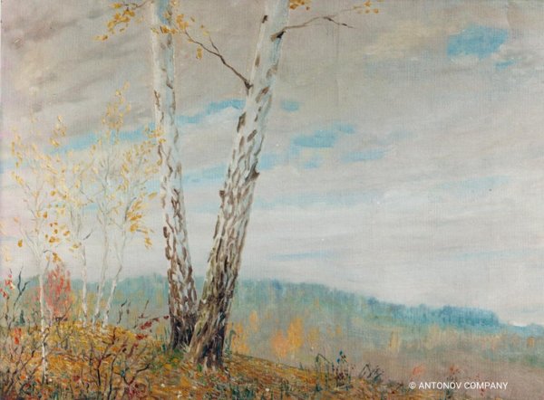 Фото АН 22 Antonov Airlines