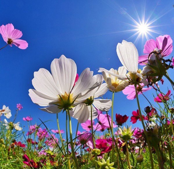 С Божьим благословением в новый день