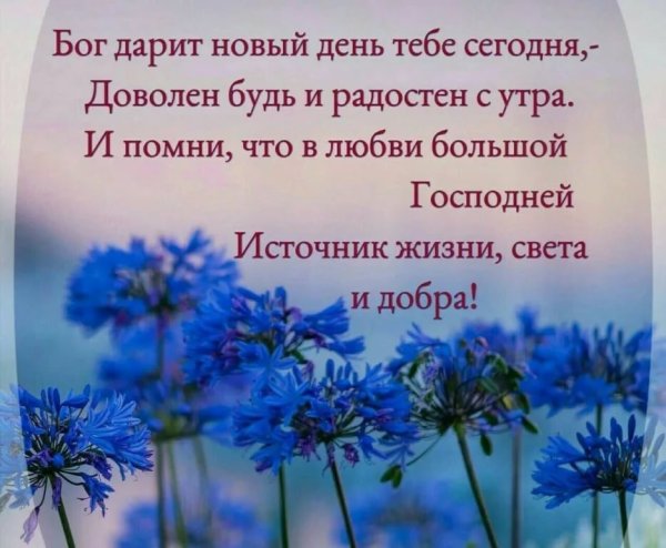 Доброго дня православные