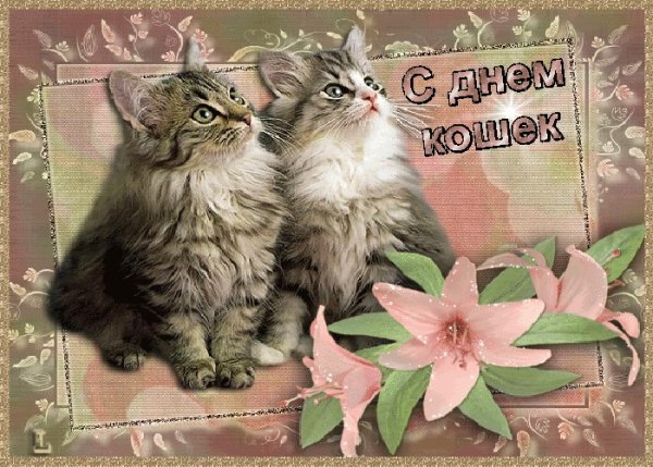 С днем кошек открытки красивые