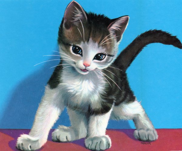 Открытки с котятами красивые