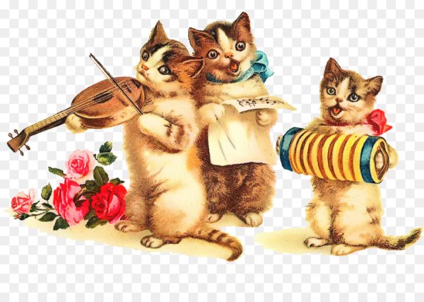 Картинки на рабочий стол котята