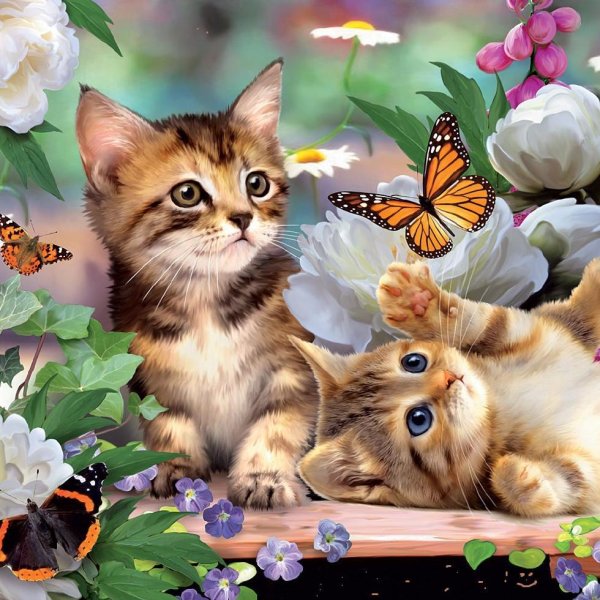 Котёнок с цветком