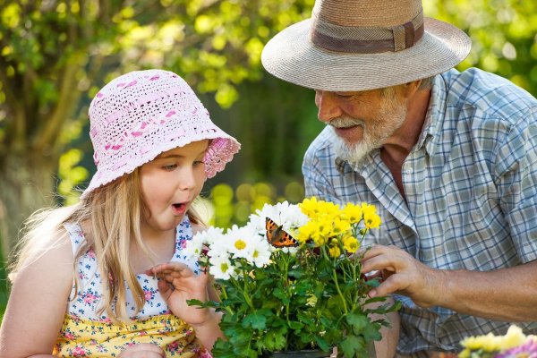 Дедушка и внучка