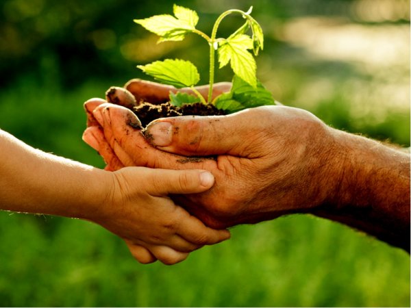 Забота о природе