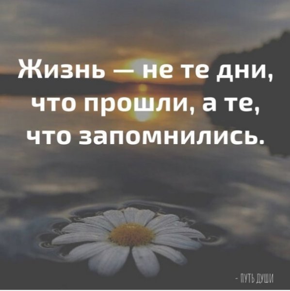 Мысли на каждый день