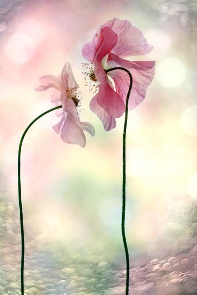 Цитаты с добрым утром и хорошего дня