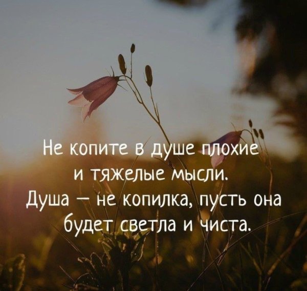 Светлые мысли цитаты