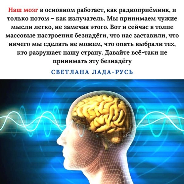 Сколько у человека мыслей за день