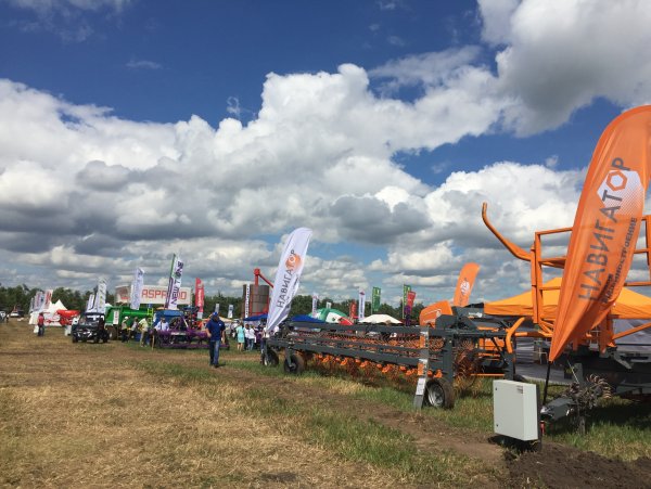 День поля Ленинградской области