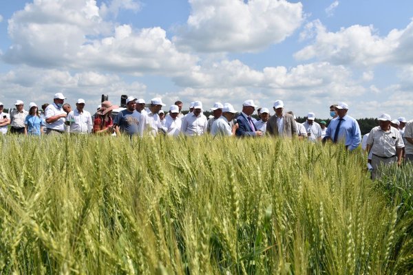 Шатиловская СХОС Новодеревеньковский район Орловской области