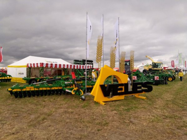 Всероссийский день поля